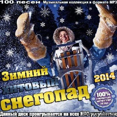 Зимний хитовый снегопад (2014)