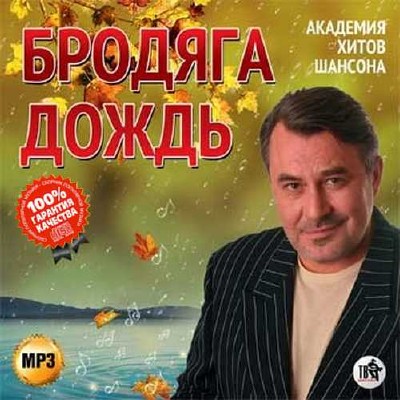 Бродяга дождь академия хитов шансона (2015)